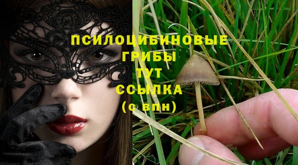 ГАЛЛЮЦИНОГЕННЫЕ ГРИБЫ Елизово