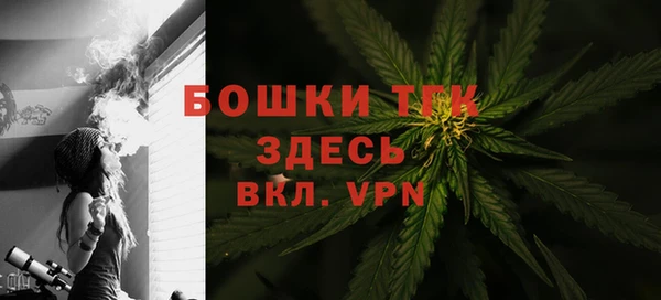 a pvp Ельня
