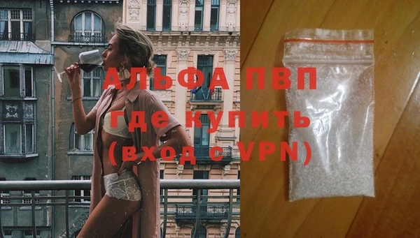 a pvp Ельня