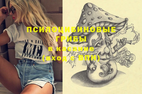 a pvp Ельня